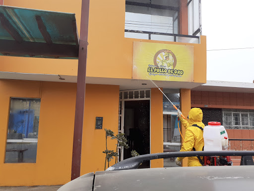 Restaurant - Pollería 